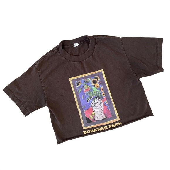 Alstyle Apparel & Activewear Tops - Borkner Park Art Print Crop T-Shirt‎ Small Y2K Vintage Style Painting Flowers